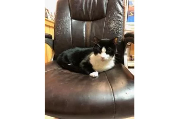 Sisko